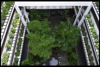 Digital photo titled regent-bangkok-garden-courtyard
