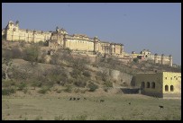 Digital photo titled amber-fort-over-field