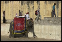 Digital photo titled elephant-dropoff-point