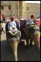 Digital photo titled elephants-and-booking-office-in-background