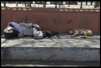 Digital photo titled man-and-dog-sleeping-on-jaipur-sidewalk
