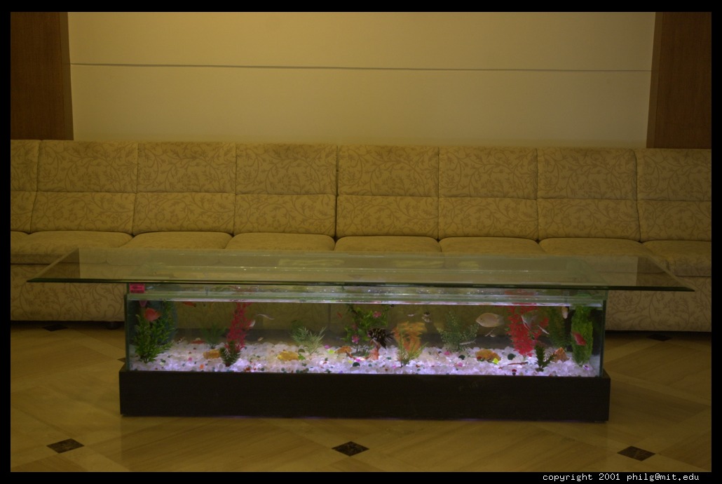 fish tank coffee table. 200103-d1-mathura-brindavan-