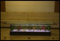 Digital photo titled satyam-aquarium-coffee-table