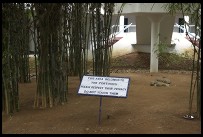 Digital photo titled satyam-tortoise-area