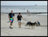 Digital photo titled zeeland-beach-dog-and-deltaworks