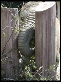 Digital photo titled elephant-high-contrast