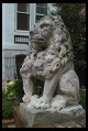 Digital photo titled stone-lion