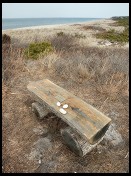 Digital photo titled fulton-memorial-bench-mink-meadows