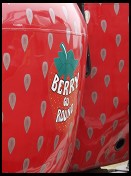 Digital photo titled berry-go-round-close-up