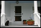 Digital photo titled pug-on-porch