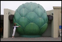 Digital photo titled giant-artichoke