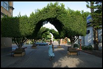 Digital photo titled loreto-topiary-1