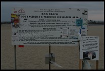 Digital photo titled san-diego-dog-beach-sign-1