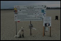 Digital photo titled san-diego-dog-beach-sign-2