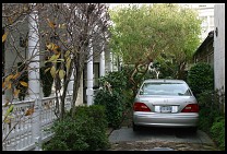 Digital photo titled lexus-driveway