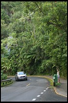 Digital photo titled el-yunque-road