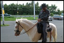 Digital photo titled man-on-pony-loquillo