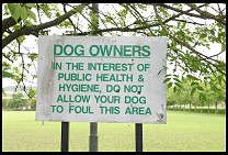 Digital photo titled dog-sign