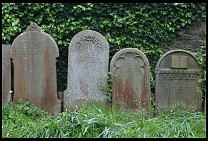 Digital photo titled headstones