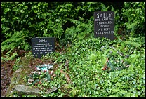Digital photo titled dog-cemetery-1