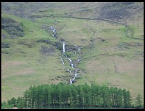 Digital photo titled lake-buttermere-trees