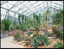 Digital photo titled botanic-gardens-glass-house