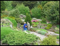 Digital photo titled botanic-gardens-rock-garden-2