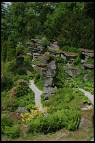 Digital photo titled rock-garden-6
