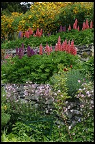 Digital photo titled harberton-flower-garden-1