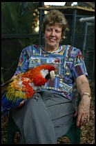 Digital photo titled brea-parrot-rescue-03