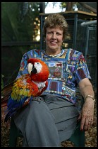 Digital photo titled brea-parrot-rescue-04