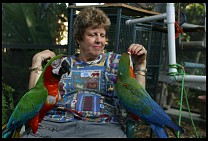 Digital photo titled brea-parrot-rescue-06