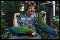 Digital photo titled brea-parrot-rescue-07