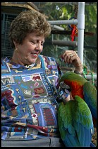 Digital photo titled brea-parrot-rescue-08