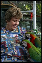 Digital photo titled brea-parrot-rescue-09