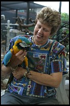 Digital photo titled brea-parrot-rescue-16