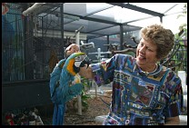 Digital photo titled brea-parrot-rescue-29