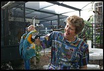 Digital photo titled brea-parrot-rescue-30