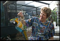Digital photo titled brea-parrot-rescue-31