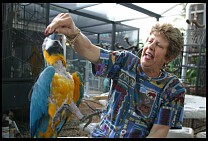 Digital photo titled brea-parrot-rescue-33