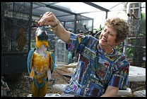 Digital photo titled brea-parrot-rescue-34