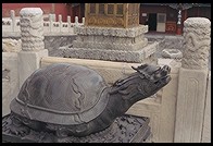 Turtle. Forbidden City. Beijing