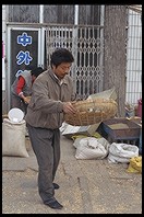 Tossing corn.  Yuting Flower and Bird Market. Beijing.