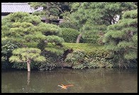 Edo stroll garden at New Otani Hotel.  Tokyo