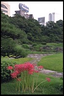 Kyu Shiba Rikyu garden.  Tokyo