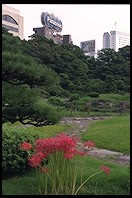 Kyu Shiba Rikyu garden.  Tokyo