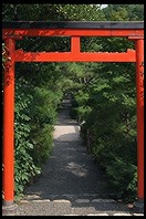 Lower Garden. Ryoan-ji.  Kyoto