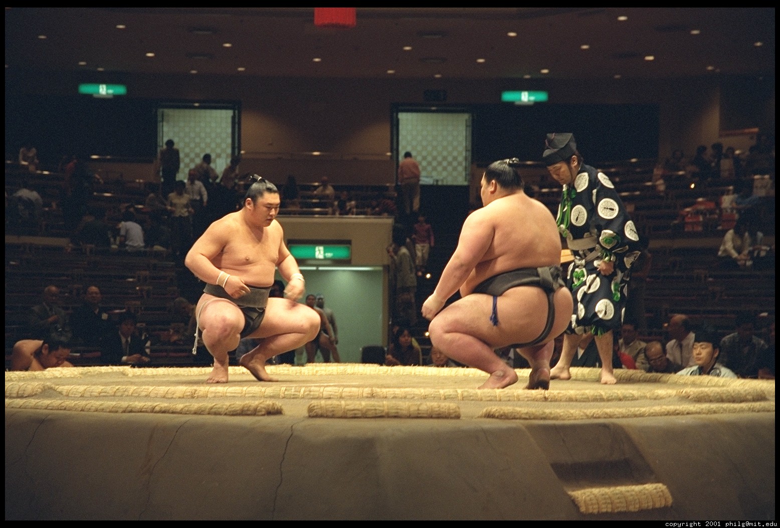 sumo winner