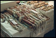 Tsukiji Fish Market. Tokyo