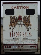 Digital photo titled caution-horses